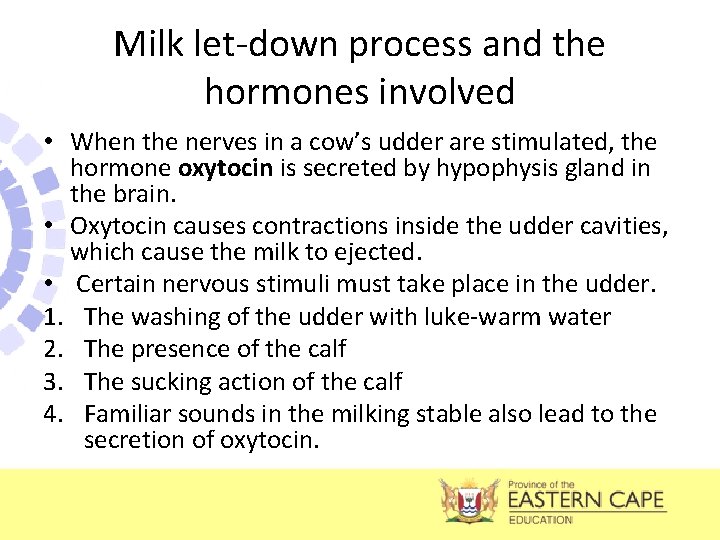 Milk let-down process and the hormones involved • When the nerves in a cow’s