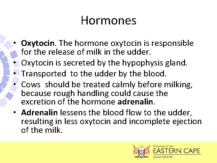 Hormones • Oxytocin. The hormone oxytocin is responsible for the release of milk in