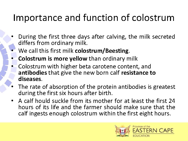 Importance and function of colostrum • During the first three days after calving, the