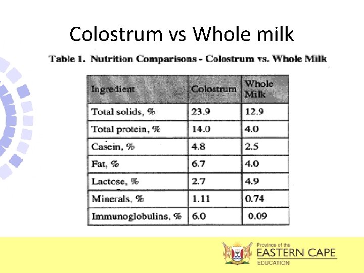 Colostrum vs Whole milk 