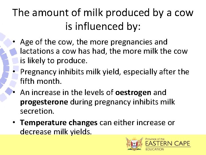 The amount of milk produced by a cow is influenced by: • Age of