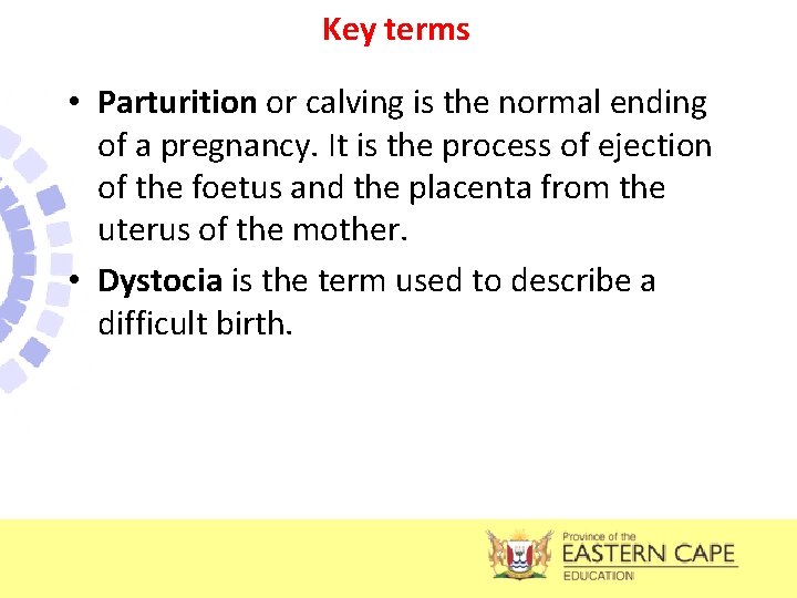 Key terms • Parturition or calving is the normal ending of a pregnancy. It