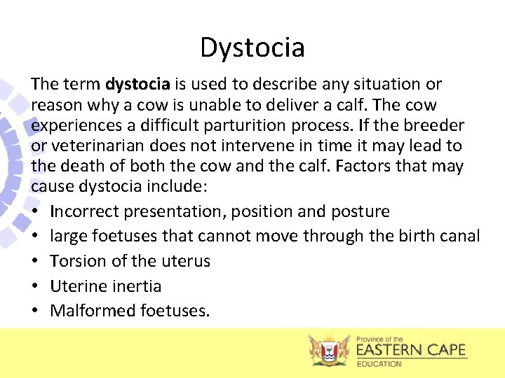 Dystocia The term dystocia is used to describe any situation or reason why a