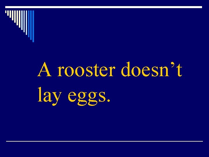 A rooster doesn’t lay eggs. 