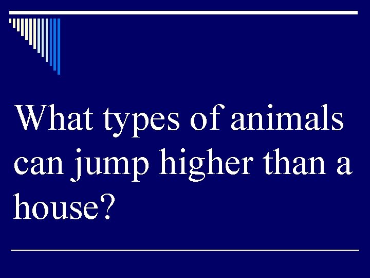 What types of animals can jump higher than a house? 