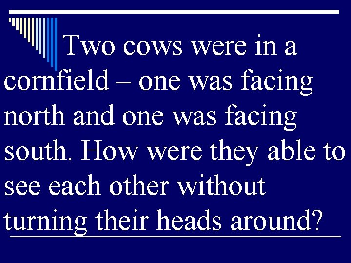 Two cows were in a cornfield – one was facing north and one was