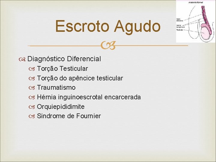 Escroto Agudo Diagnóstico Diferencial Torção Testicular Torção do apêncice testicular Traumatismo Hérnia inguinoescrotal encarcerada