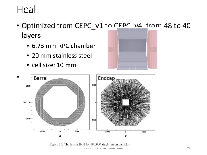 Hcal • Optimized from CEPC_v 1 to CEPC_v 4, from 48 to 40 layers