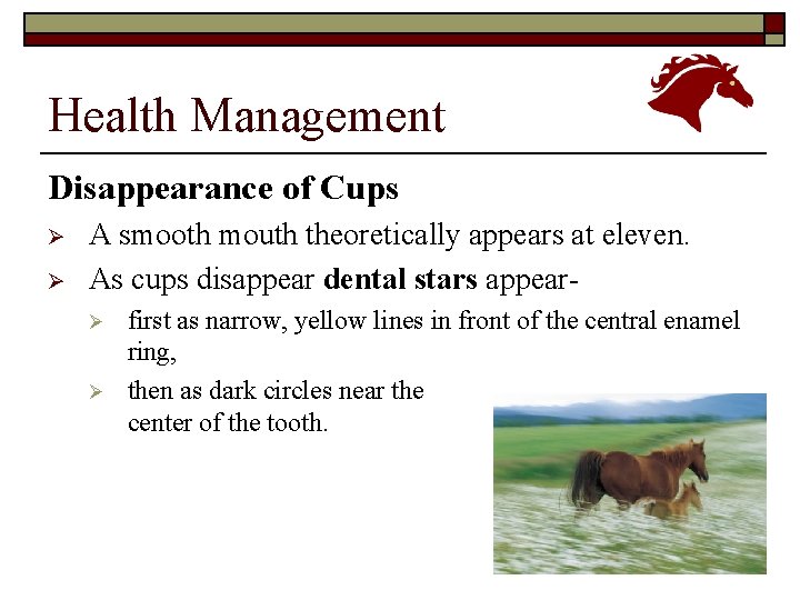 Health Management Disappearance of Cups Ø Ø A smooth mouth theoretically appears at eleven.