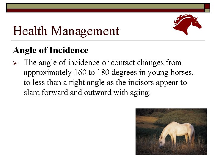 Health Management Angle of Incidence Ø The angle of incidence or contact changes from