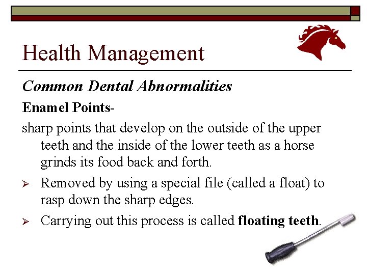Health Management Common Dental Abnormalities Enamel Pointssharp points that develop on the outside of