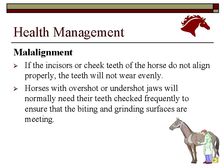 Health Management Malalignment Ø Ø If the incisors or cheek teeth of the horse