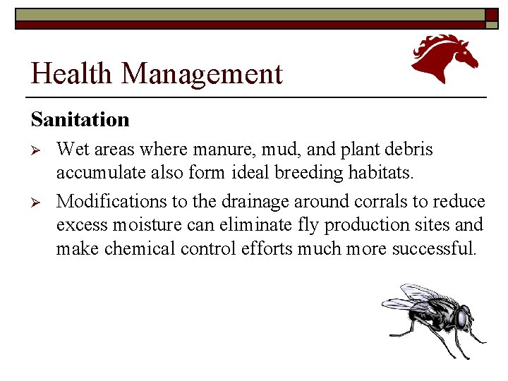 Health Management Sanitation Ø Ø Wet areas where manure, mud, and plant debris accumulate