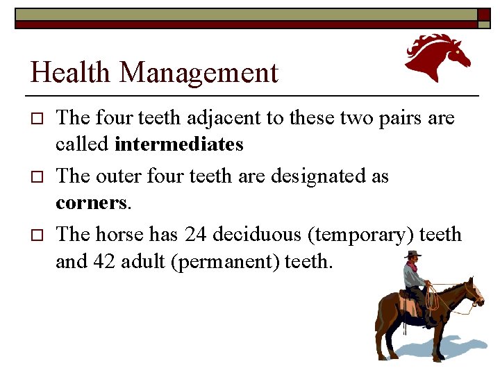 Health Management o o o The four teeth adjacent to these two pairs are