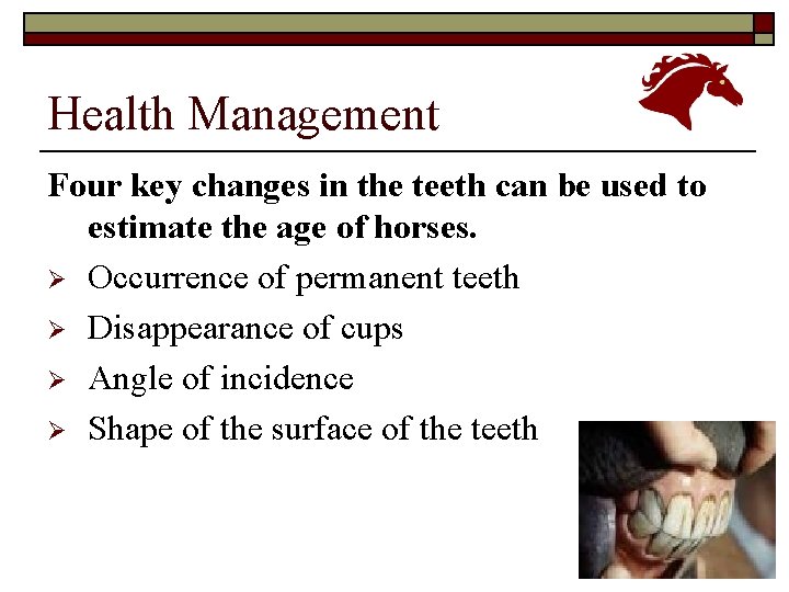 Health Management Four key changes in the teeth can be used to estimate the