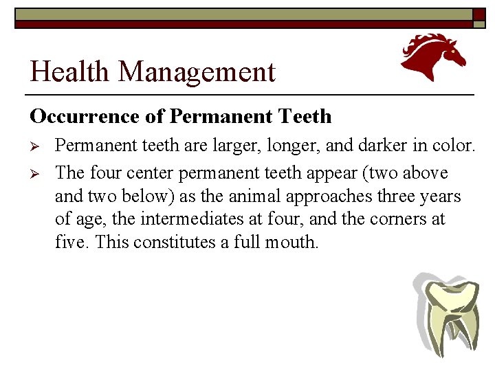 Health Management Occurrence of Permanent Teeth Ø Ø Permanent teeth are larger, longer, and