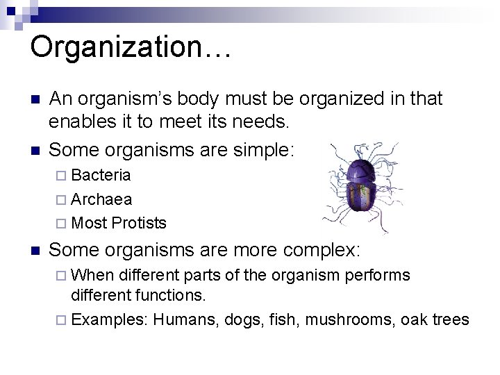 Organization… n n An organism’s body must be organized in that enables it to