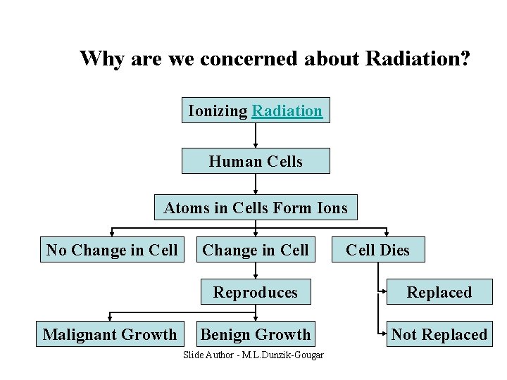 Why are we concerned about Radiation? Ionizing Radiation Human Cells Atoms in Cells Form