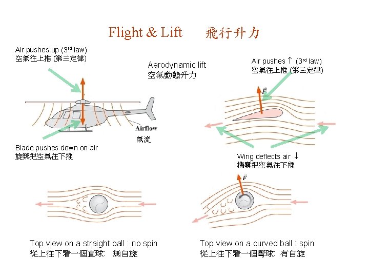 Flight & Lift Air pushes up (3 rd law) 空氣往上推 (第三定律) 飛行升力 Aerodynamic lift
