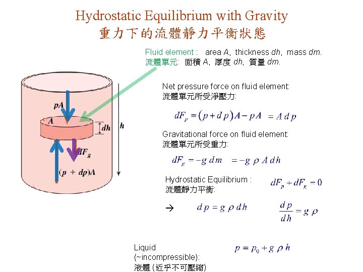 Hydrostatic Equilibrium with Gravity 重力下的流體靜力平衡狀態 Fluid element : area A, thickness dh, mass dm.