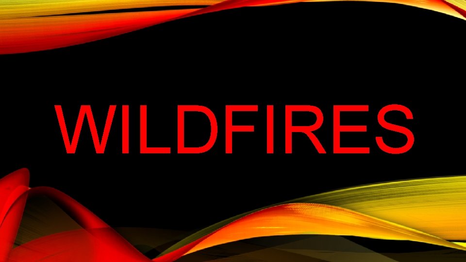 WILDFIRES 