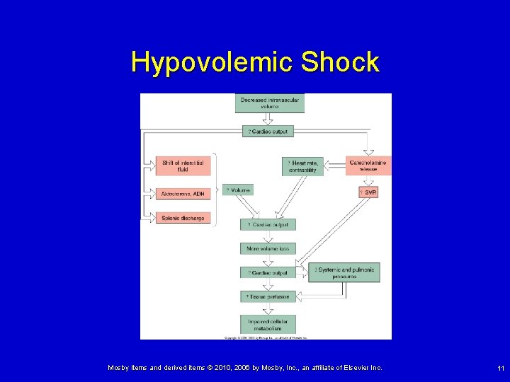 Hypovolemic Shock Mosby items and derived items © 2010, 2006 by Mosby, Inc. ,