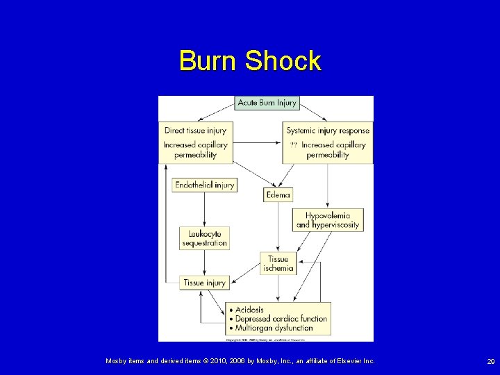 Burn Shock Mosby items and derived items © 2010, 2006 by Mosby, Inc. ,