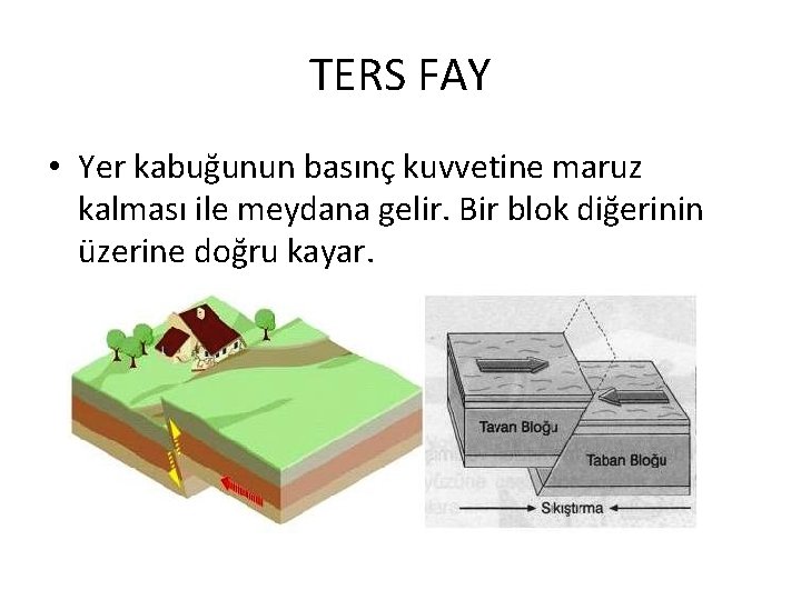 TERS FAY • Yer kabuğunun basınç kuvvetine maruz kalması ile meydana gelir. Bir blok