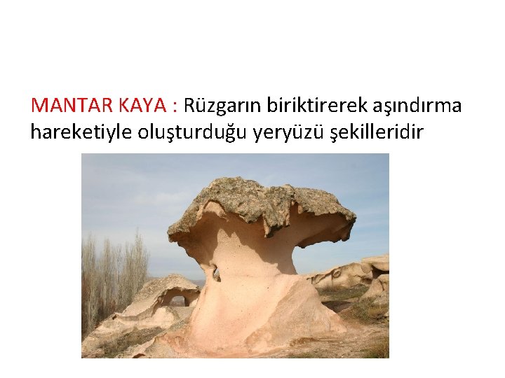 MANTAR KAYA : Rüzgarın biriktirerek aşındırma hareketiyle oluşturduğu yeryüzü şekilleridir 