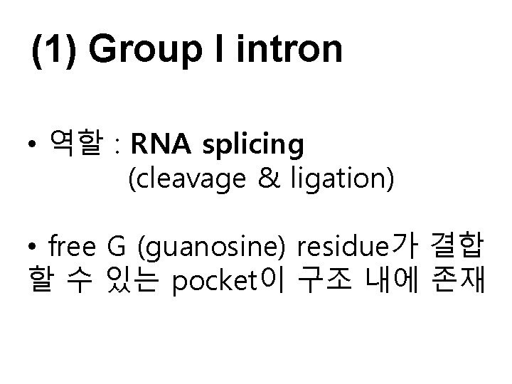 (1) Group I intron • 역할 : RNA splicing (cleavage & ligation) • free