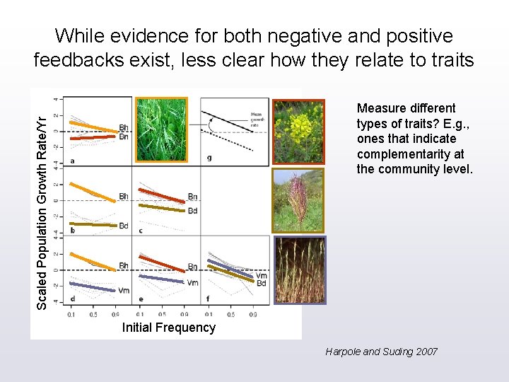 While evidence for both negative and positive feedbacks exist, less clear how they relate