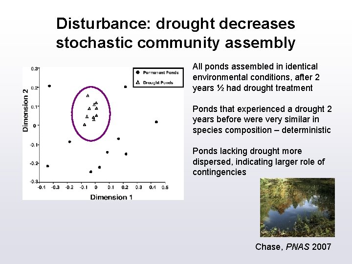 Disturbance: drought decreases stochastic community assembly All ponds assembled in identical environmental conditions, after