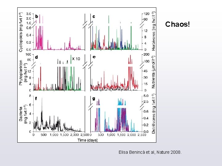 Chaos! Elisa Benincà et al, Nature 2008. 