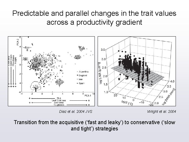 Predictable and parallel changes in the trait values across a productivity gradient Diaz et