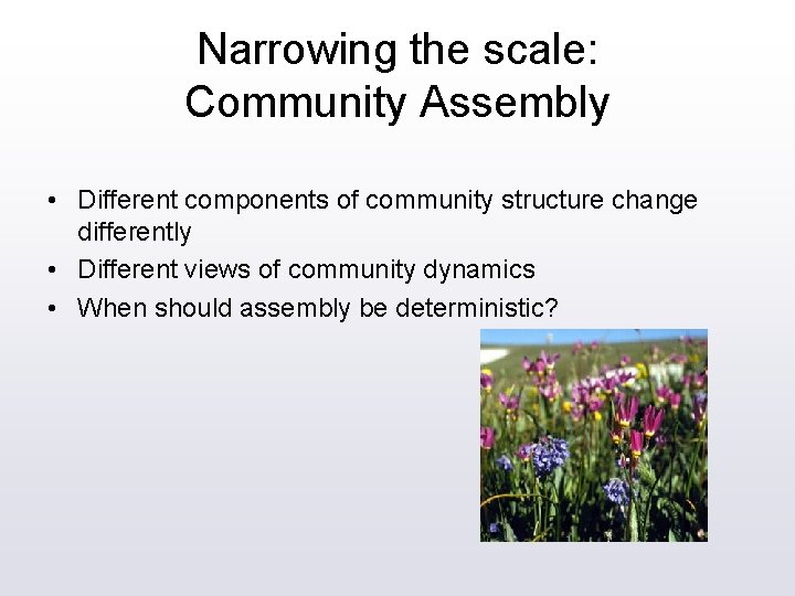 Narrowing the scale: Community Assembly • Different components of community structure change differently •