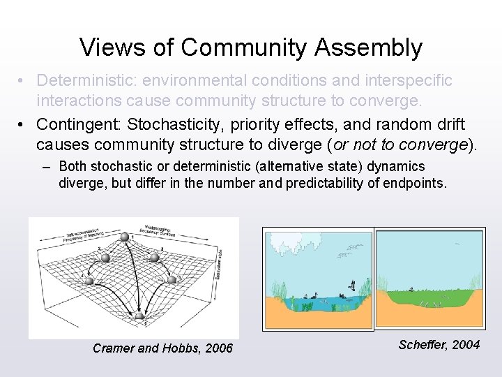 Views of Community Assembly • Deterministic: environmental conditions and interspecific interactions cause community structure