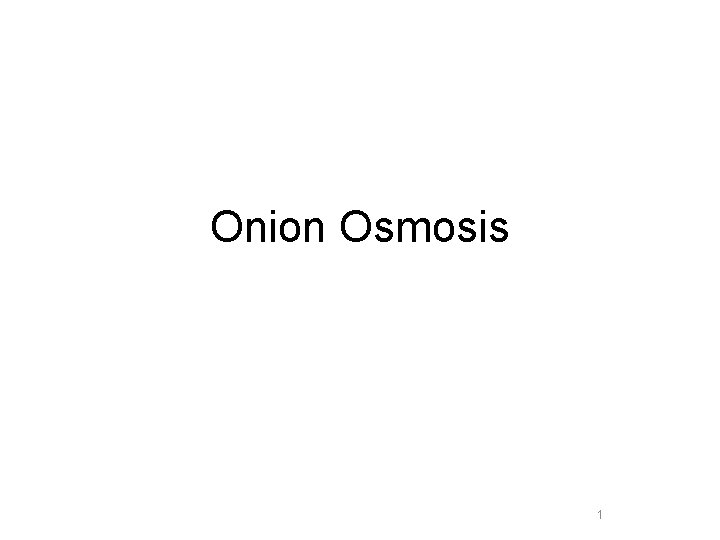 Onion Osmosis 1 