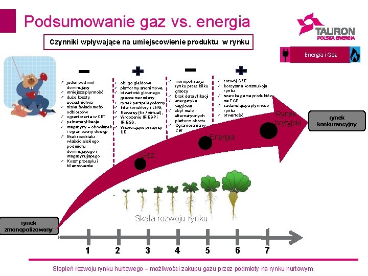 Podsumowanie gaz vs. energia Czynniki wpływające na umiejscowienie produktu w rynku Energia i Gaz