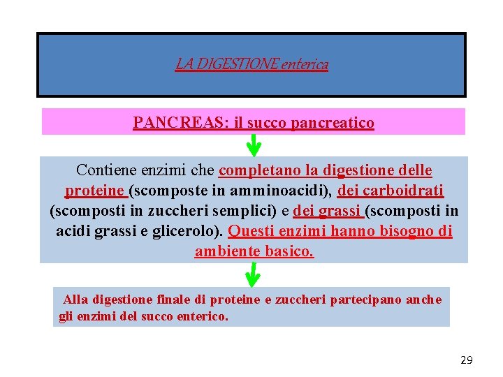 LA DIGESTIONE enterica PANCREAS: il succo pancreatico Contiene enzimi che completano la digestione delle