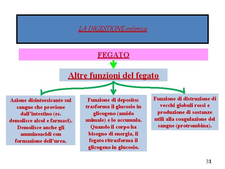 LA DIGESTIONE enterica FEGATO Altre funzioni del fegato Azione disintossicante sul sangue che proviene