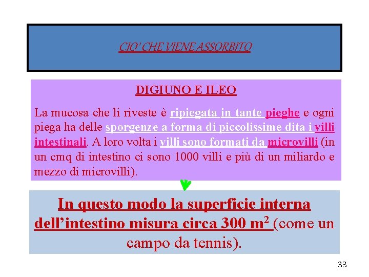 CIO’ CHE VIENE ASSORBITO DIGIUNO E ILEO La mucosa che li riveste è ripiegata