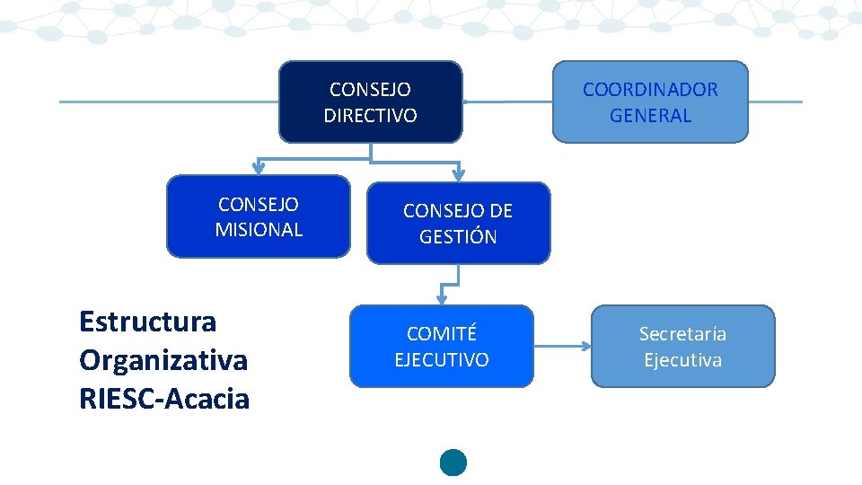 CONSEJO DIRECTIVO CONSEJO MISIONAL Estructura Organizativa RIESC-Acacia COORDINADOR GENERAL CONSEJO DE GESTIÓN COMITÉ EJECUTIVO