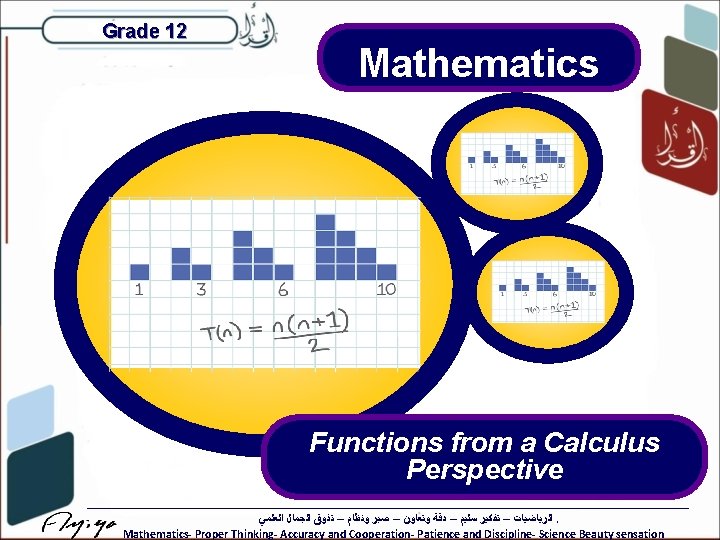 Grade 12 Mathematics Functions from a Calculus Perspective ﺍﻟﺮﻳﺎﺿﻴﺎﺕ – ﺗﻔﻜﻴﺮ ﺳﻠﻴﻢ – ﺩﻗﺔ