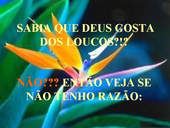 SABIA QUE DEUS GOSTA DOS LOUCOS? !? NÃO? ? ? ENTÃO VEJA SE NÃO