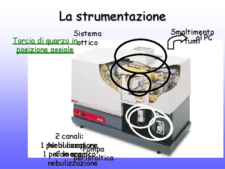 La strumentazione Sistema Torcia di quarzo inottico posizione assiale 2 canali: Nebulizzatore 1 per