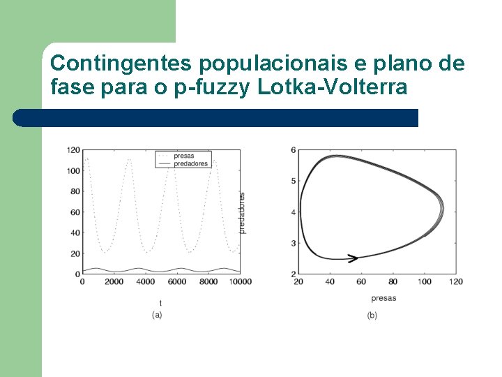 Contingentes populacionais e plano de fase para o p-fuzzy Lotka-Volterra 