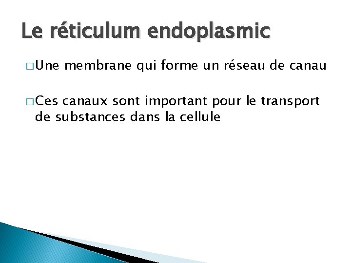 Le réticulum endoplasmic � Une � Ces membrane qui forme un réseau de canaux