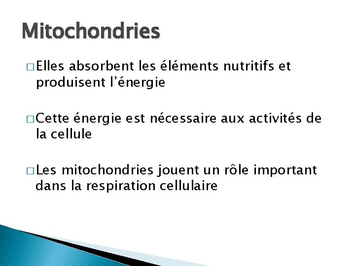 Mitochondries � Elles absorbent les éléments nutritifs et produisent l’énergie � Cette énergie est