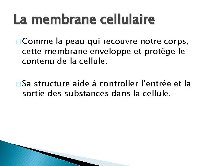 La membrane cellulaire � Comme la peau qui recouvre notre corps, cette membrane enveloppe