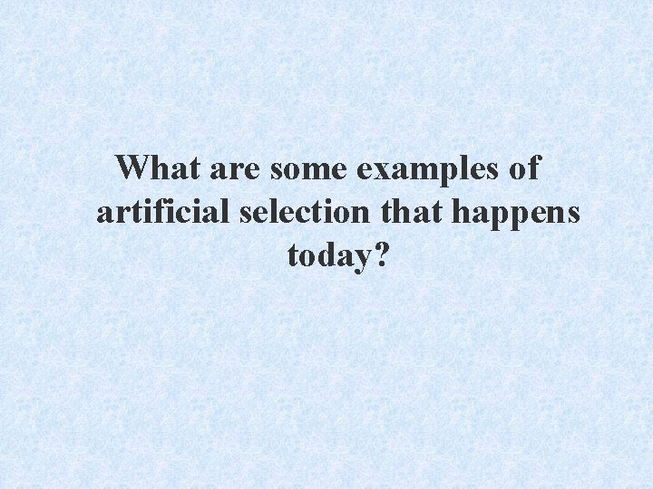 What are some examples of artificial selection that happens today? 